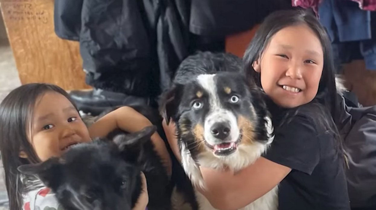 Watch: Lost dog returns home to family after surviving epic 150-mile trek across Alaskan sea ice