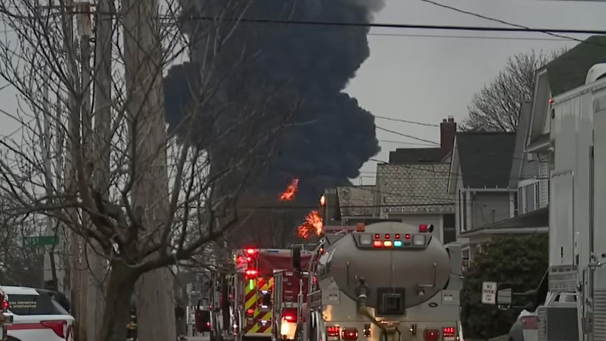 'We basically nuked a town': Animals dying in Ohio after train derailment and controlled release of toxic chemicals