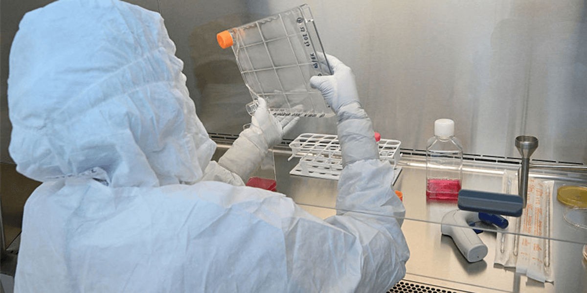 We engineered stem cells to make human eggs, tech firm says