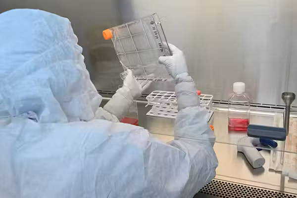 We engineered stem cells to make human eggs, tech firm says