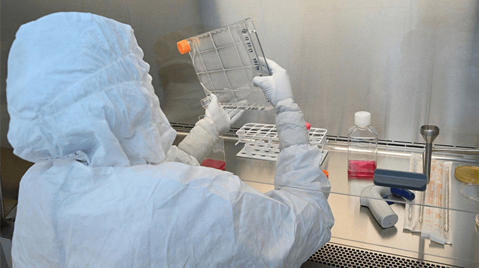 We engineered stem cells to make human eggs, tech firm says