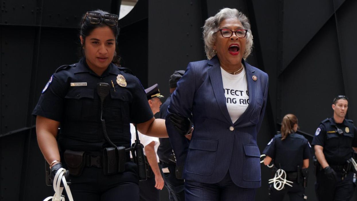 'We felt like Martin Luther King,' says Dem congresswoman arrested at Capitol protesting for voting rights she already has