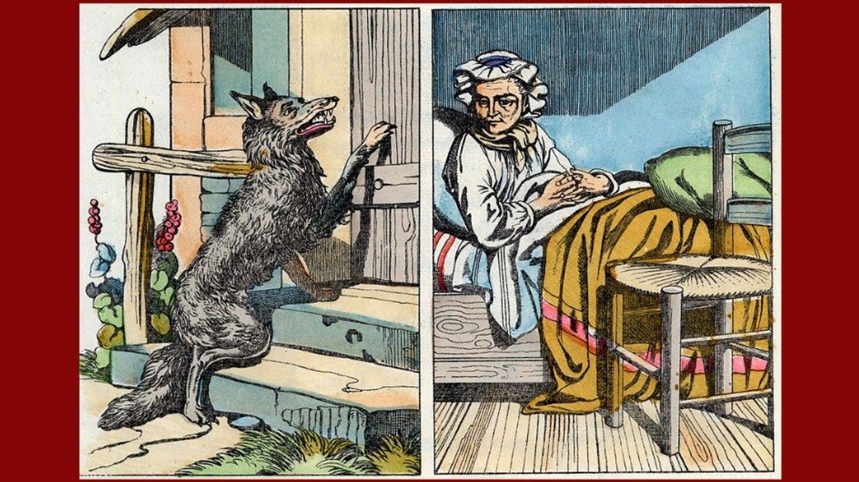 We need to start trusting our primal survival instincts again