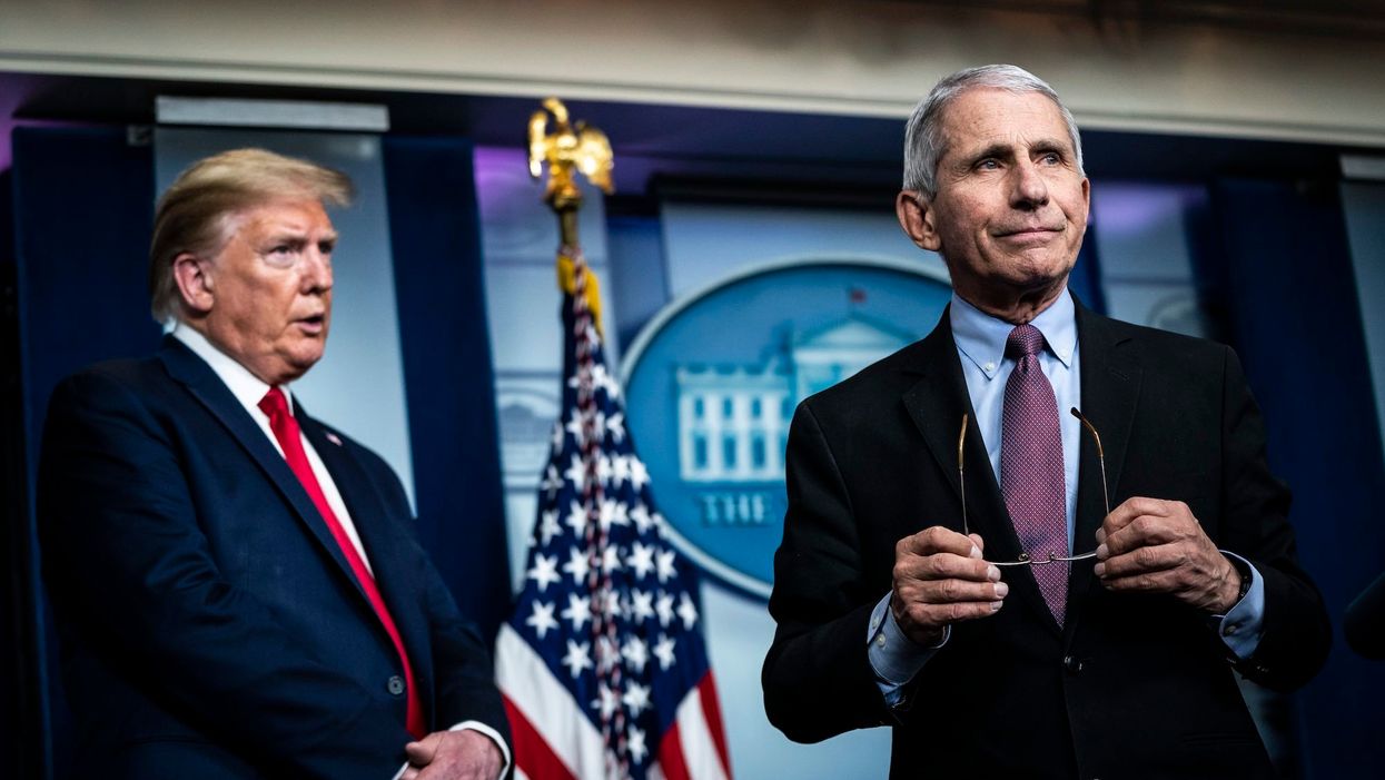We should open up the schools — and the voting booths — says ... Dr. Fauci