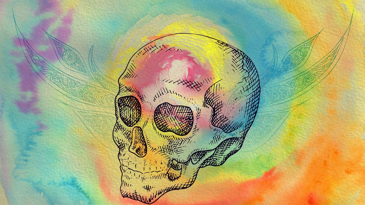 'We've lost several really good founders' Inside tech’s ayahuasca zombie dropout problem