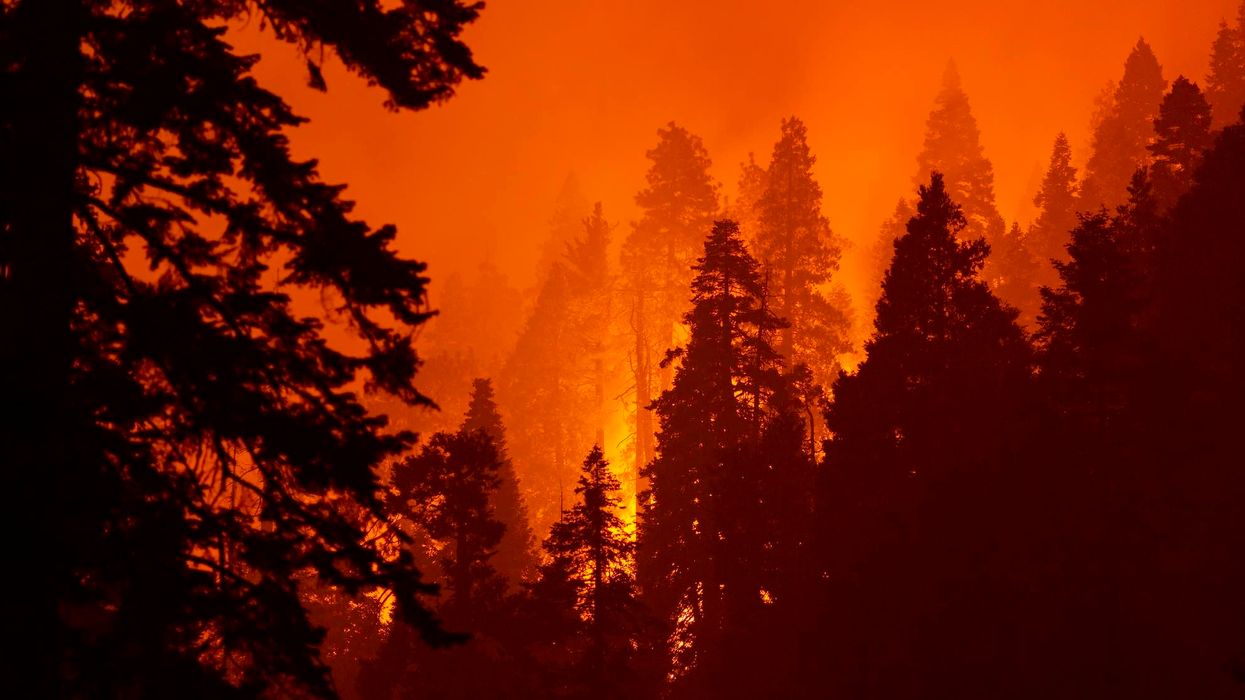 West Coast wildfires continue to rage: At least 36 people dead, nearly 5 million acres torched; smoke cloud reaches East Coast
