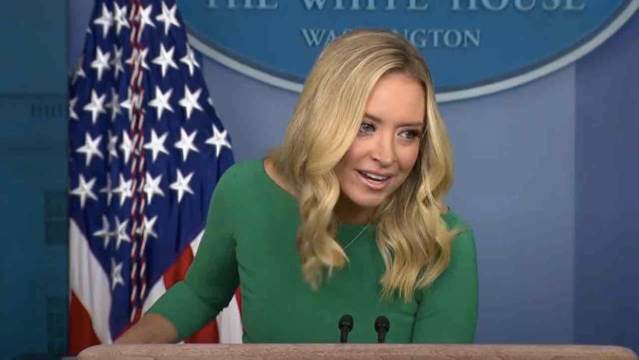 WH Press Secretary Kayleigh McEnany throws major shade at reporter with mic-drop parting shot: 'I don't call on activists'