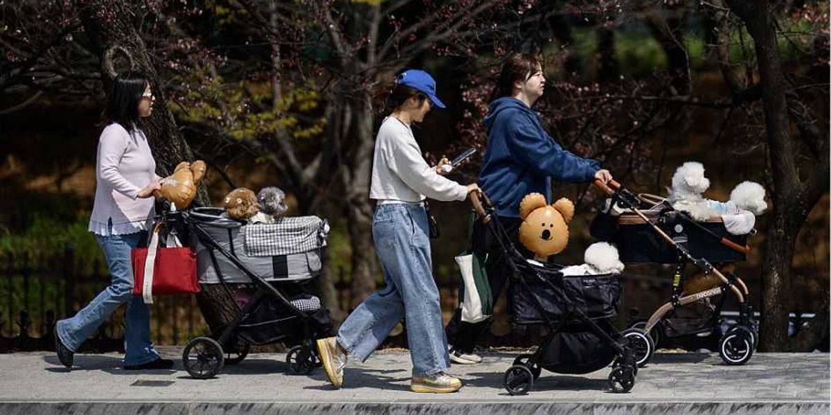 What 'fur babies,' 2D boyfriends, and 'sharenting' tell us about the West's future