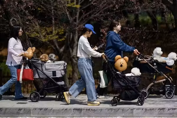 What 'fur babies,' 2D boyfriends, and 'sharenting' tell us about the West's future