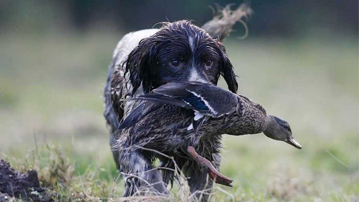 When October meant hunting in the high desert
