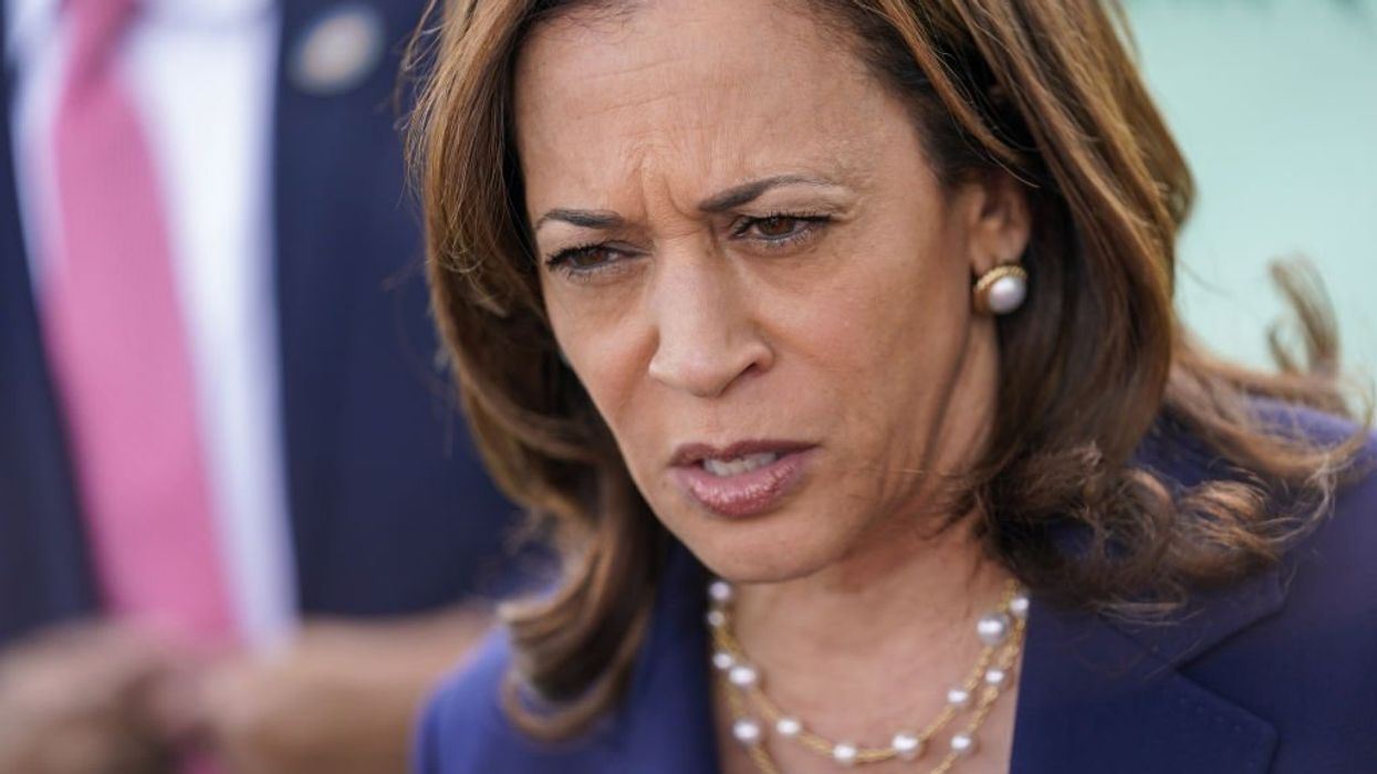 White people should face 'accountability' if Harris does not win, political commentator tells CNN