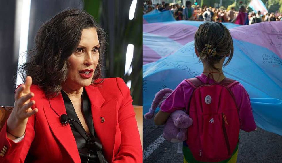 Whitmer's law DEFEATED! Therapists are free to steer kids away from trans insanity