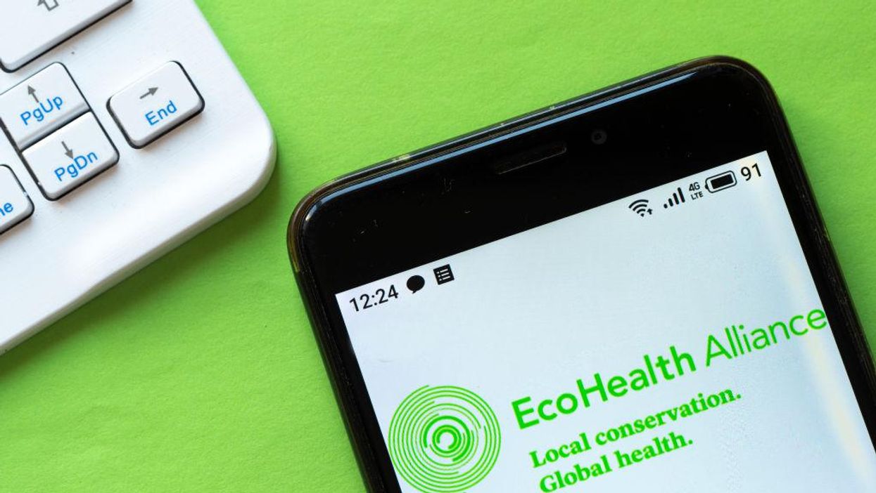 WHO expert says leaked EcoHealth Alliance docs show scientists wanted to create a novel coronavirus