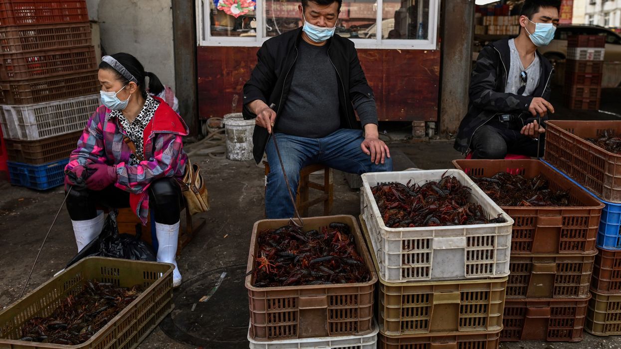 WHO says wet markets are OK despite possible Wuhan role in coronavirus spread