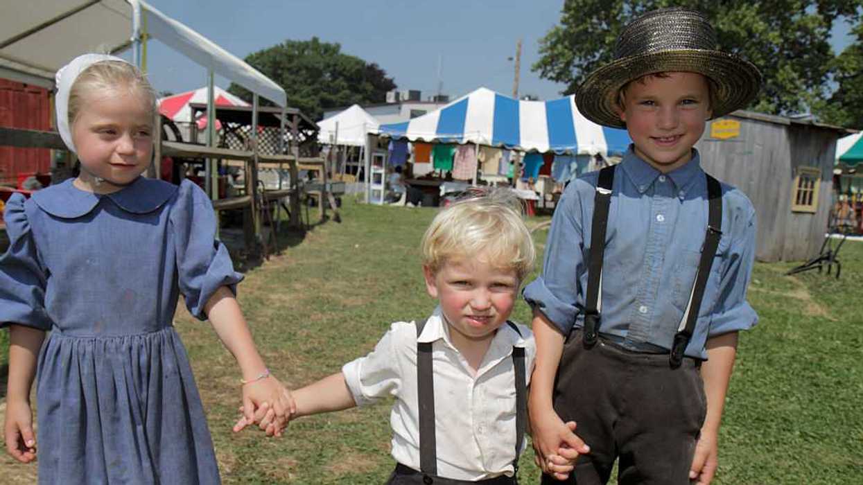 Who’s afraid of the Amish data?
