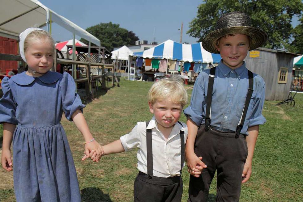 Who’s afraid of the Amish data?