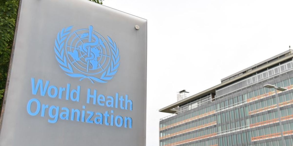 WHO’s incoming tobacco chief launches smear against FDA WHO’s incoming tobacco chief launches smear against FDA