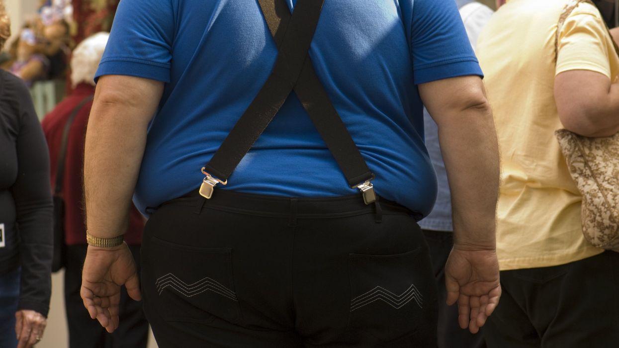 Why are Americans so fat? A radical group of online scientists has a theory