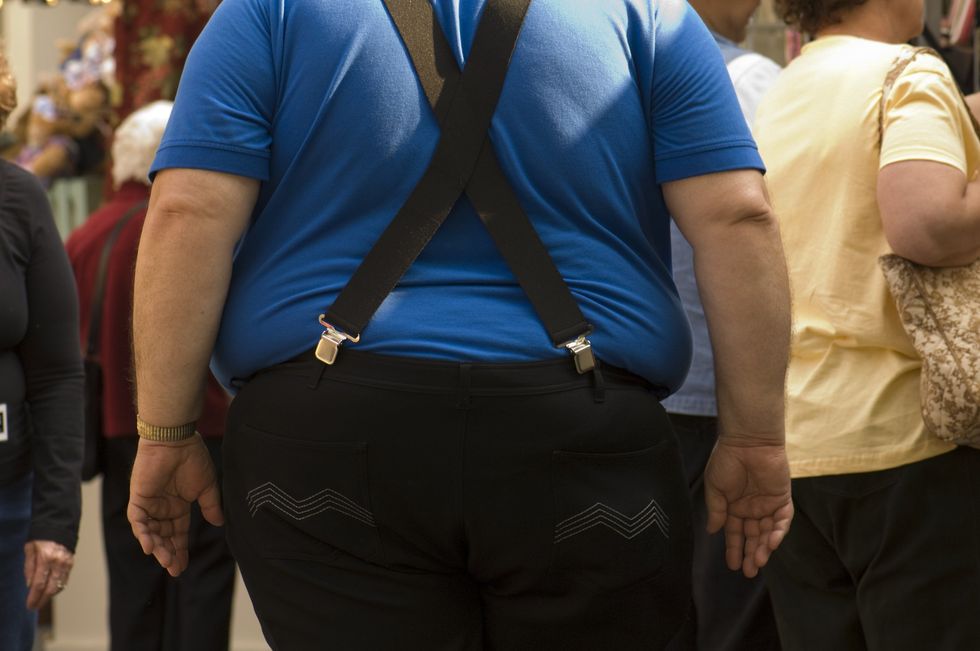 Why are Americans so fat? A radical group of online scientists has a theory