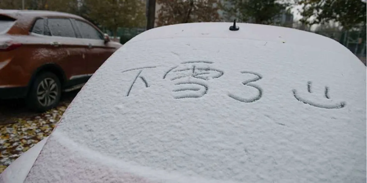 Why Canada’s Chinese EV bet is a big mistake