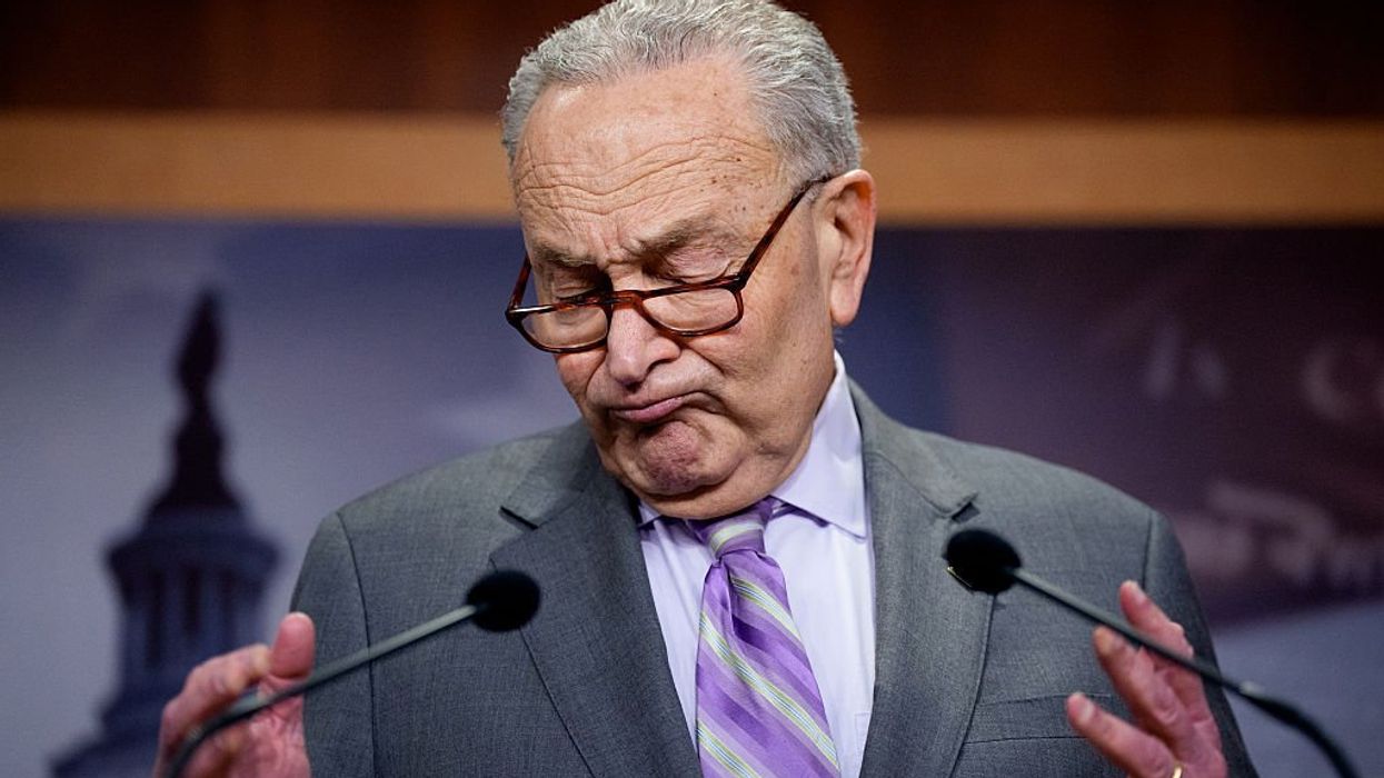 Why Chuck Schumer survived