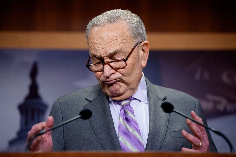 Why Chuck Schumer survived