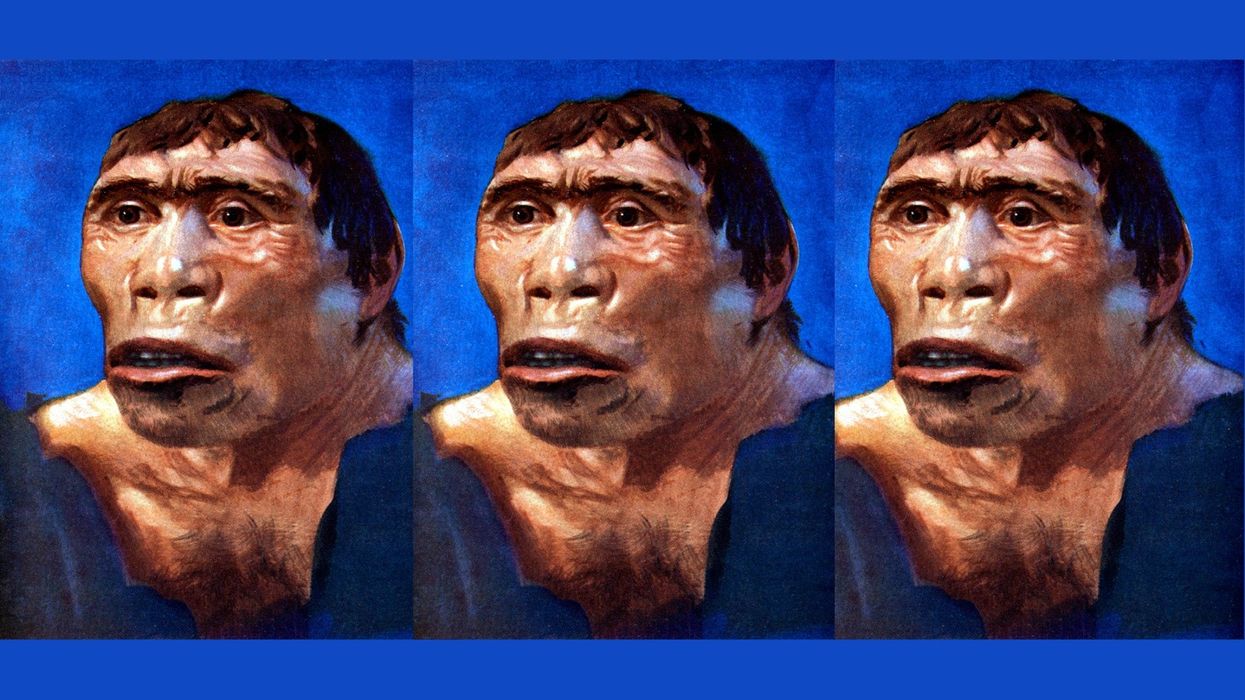 Why evolution is fake