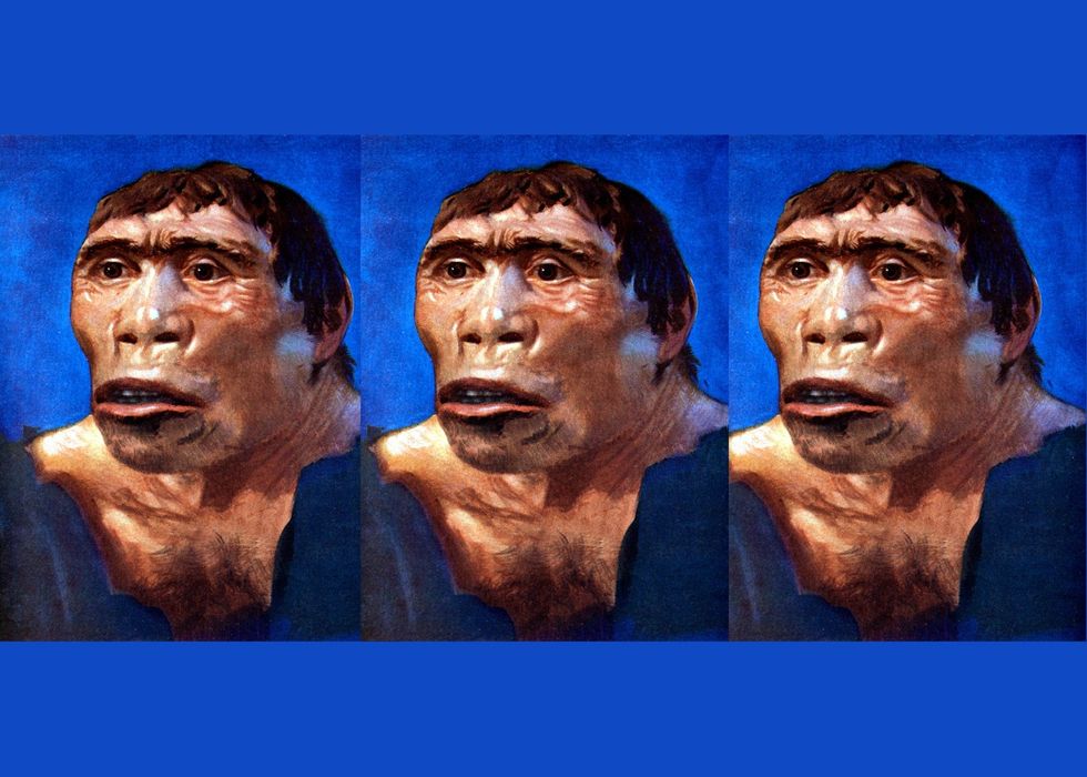 Why evolution is fake