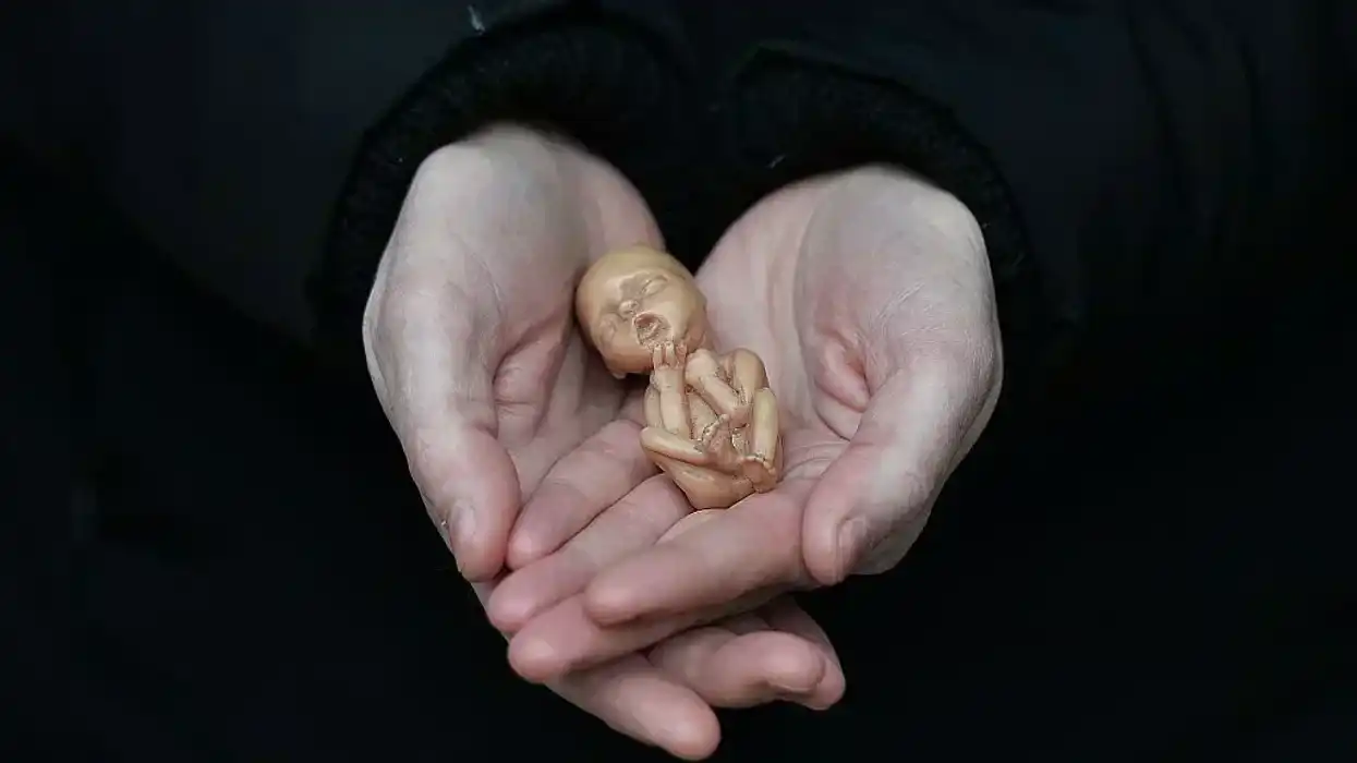Wisconsin Supreme Court unanimously rules that order against pro-life advocate violated First Amendment