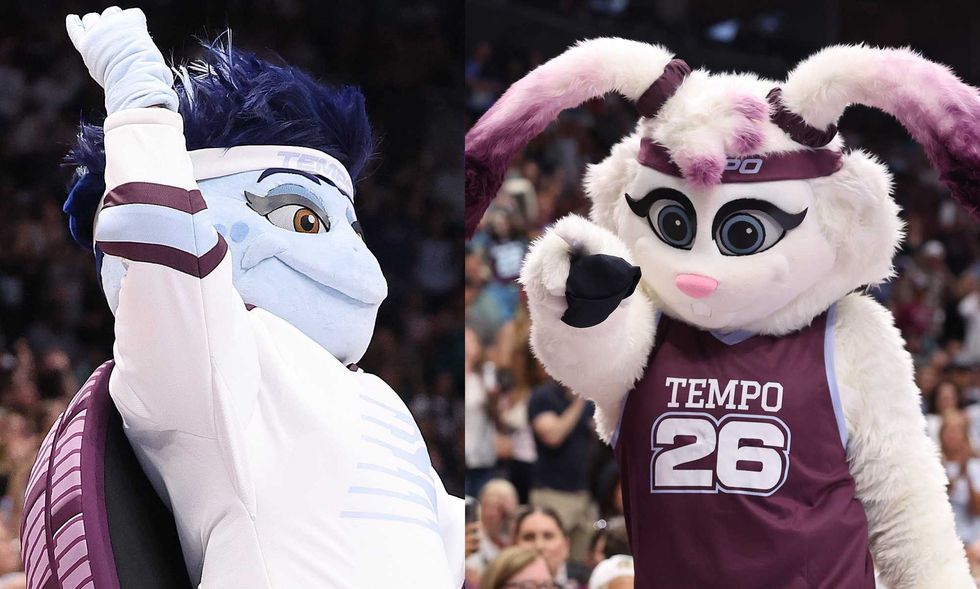 WNBA team reveals snapping turtle mascot with 'she/them' pronouns — and gets hilarious backlash