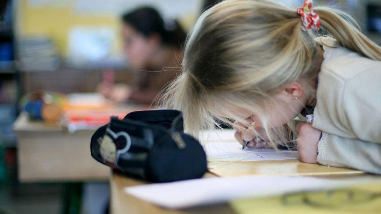 'Woke doctrine': Virginia mom slams anti-Second Amendment school assignment for advancing a 'political agenda'