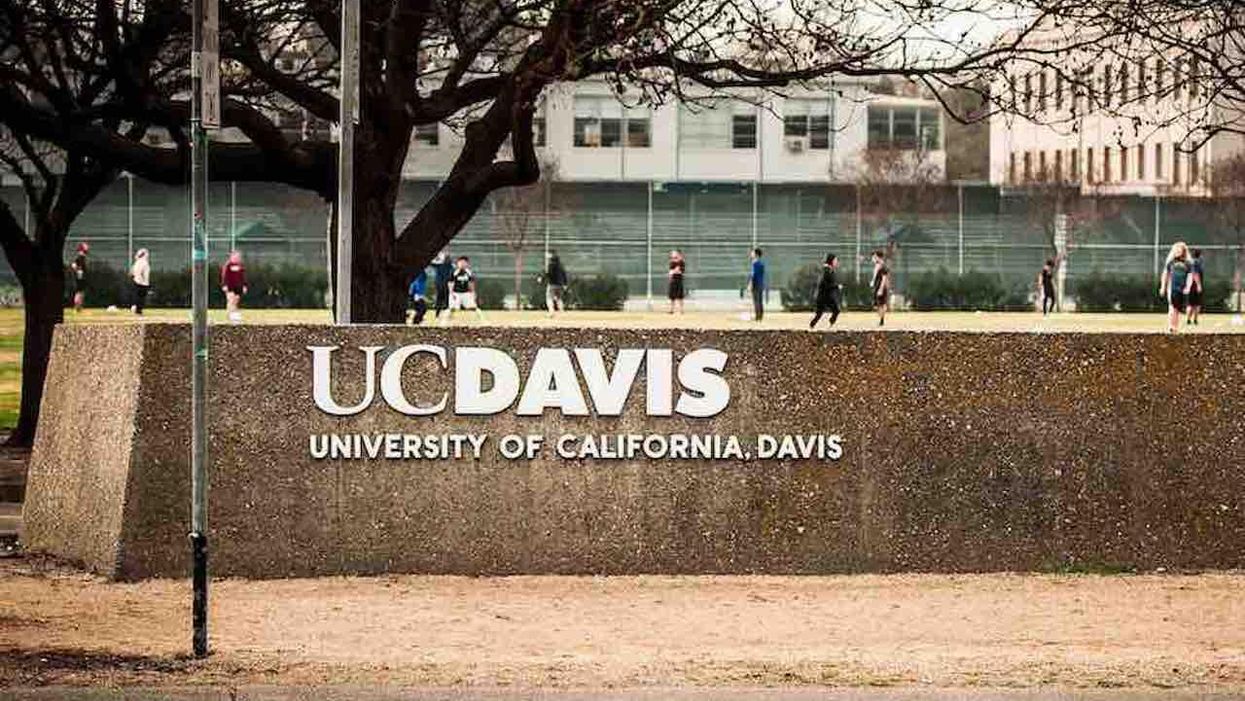 Woke RA training at UC Davis: 'How have you navigated the Black Lives Matter movement in light of the continual murder of Black folx at the hands of the police?'
