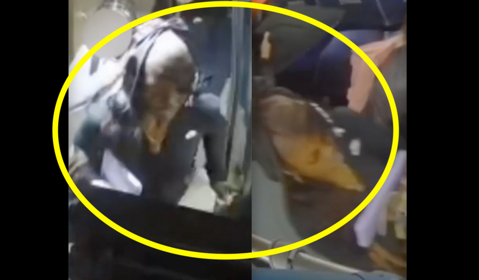 Woman curses out, punches 8-year-old in face because kid was 'looking' at her on bus; child's mother fights attacker: Cops