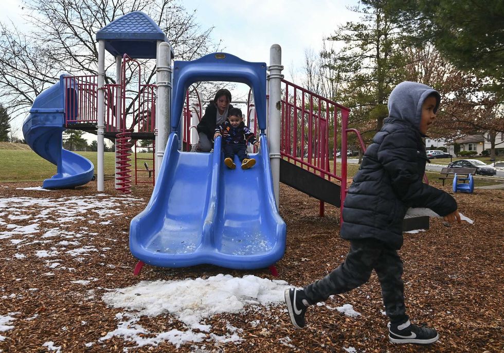 Woman faces prison time for bringing dangerous dog to playground that mauled boy for 2 minutes