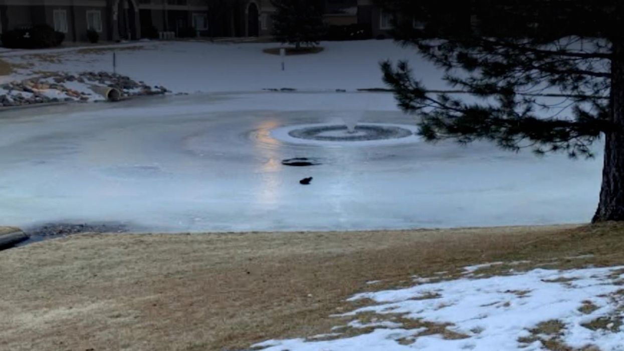 Woman hailed a hero after dramatic rescue of 3 children from drowning in icy pond: 'It had to be me'