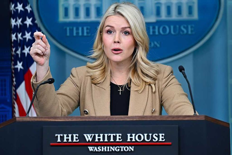 'You're a left-wing hack!' Karoline Leavitt rips journalist over 'biased' ICE claims